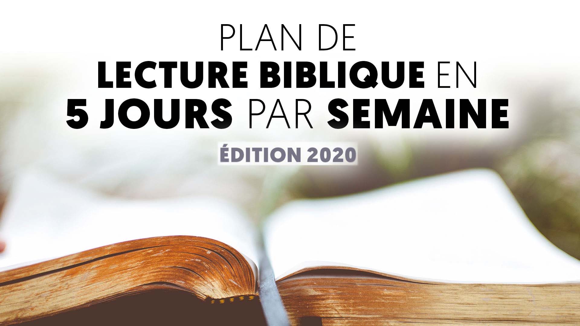 Image result for bible en un an